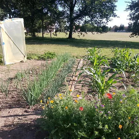 Bed And Cepes Busserolles