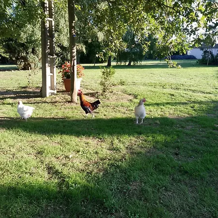 ベッド・アンド・ブレックファスト Bed And Cepes Busserolles