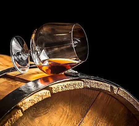 ベッド・アンド・ブレックファスト Bed And Cepes Busserolles