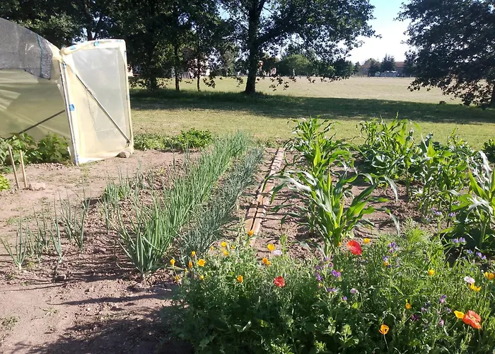 Bed And Cepes Busserolles