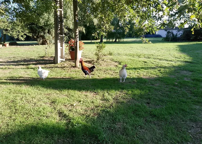 فندق مبيت وإفطار Bed And Cepes Busserolles