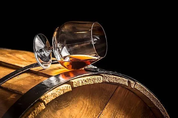 فندق مبيت وإفطار Bed And Cepes Busserolles